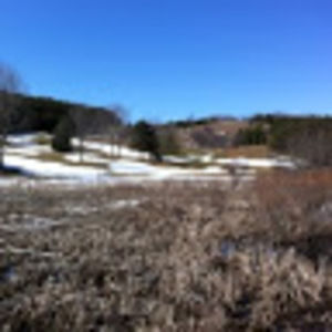 Meet your Posher, Ish